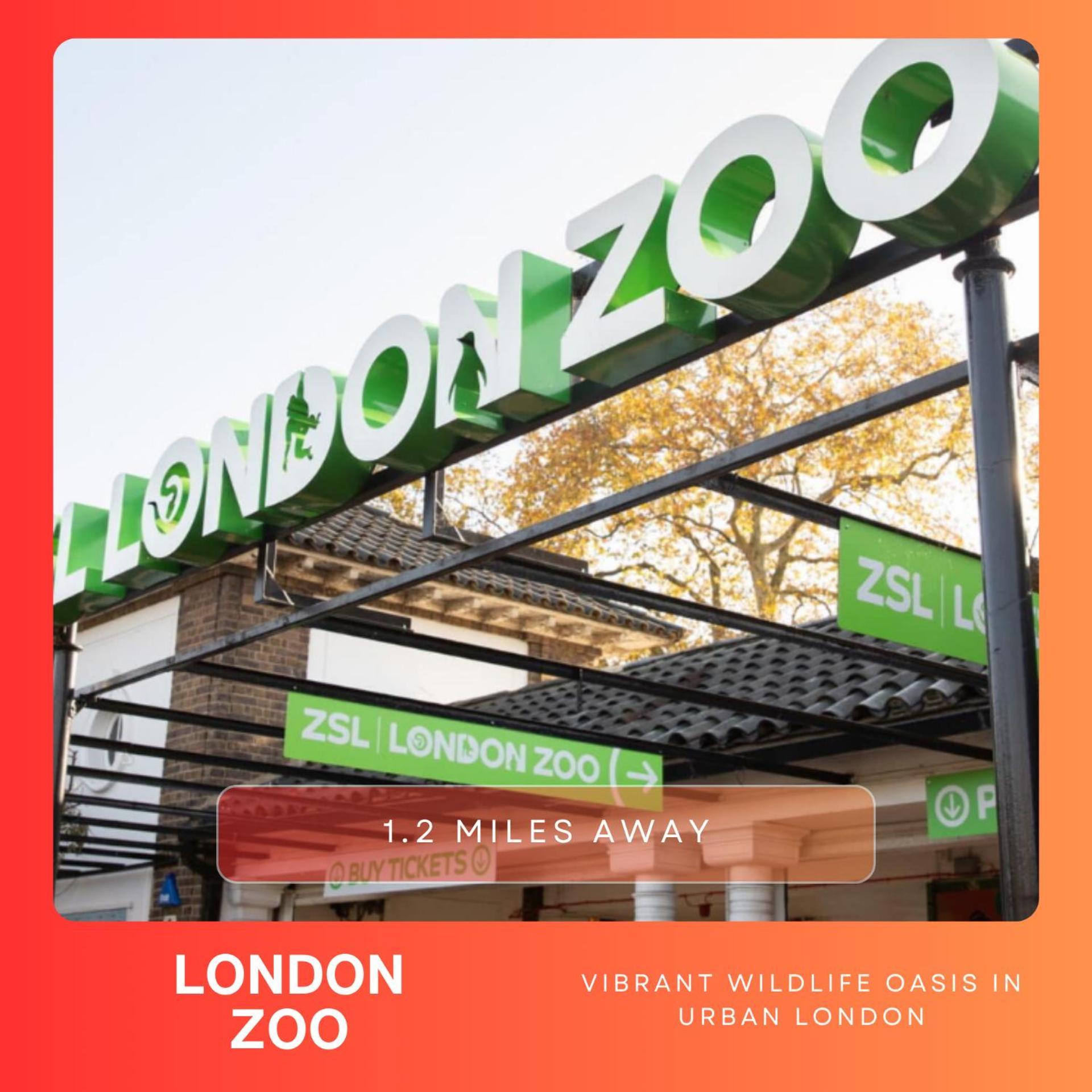 Appartamento Amazing Flat For 6 At Camden Londra